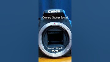Camera Shutter Sound | ASMR | Canon EOS
