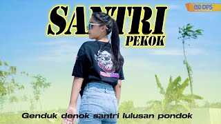 DJ SANTRI PEKOK SLOW TO GANJEL TO PALING ENAK • DJ AXL REMIX