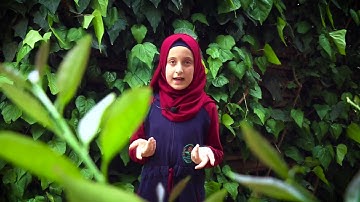 في ظلال القرآن _ لمسات بيانية في سورة الفيل