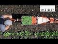 Machine Makes Planting a Breeze Machine Makes Planting a Breeze