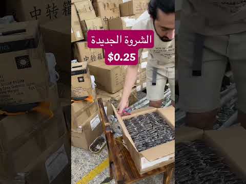 فيديو: شركة على الانترنت تحول صناديق الشحن إلى المنازل للحصول على حيوانات الشوارع