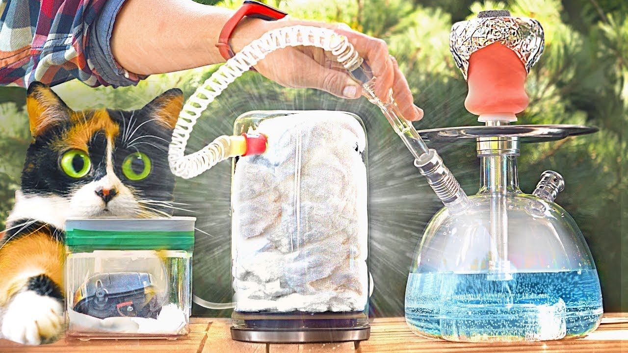 ¿QUÉ LE PASA A TUS PULMONES DESPUÉS DE FUMAR NARGUILE TODO EL DÍA?