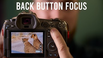 Back button autofocus: a GAME CHANGER for WILDLIFE PHOTOGRAPHY