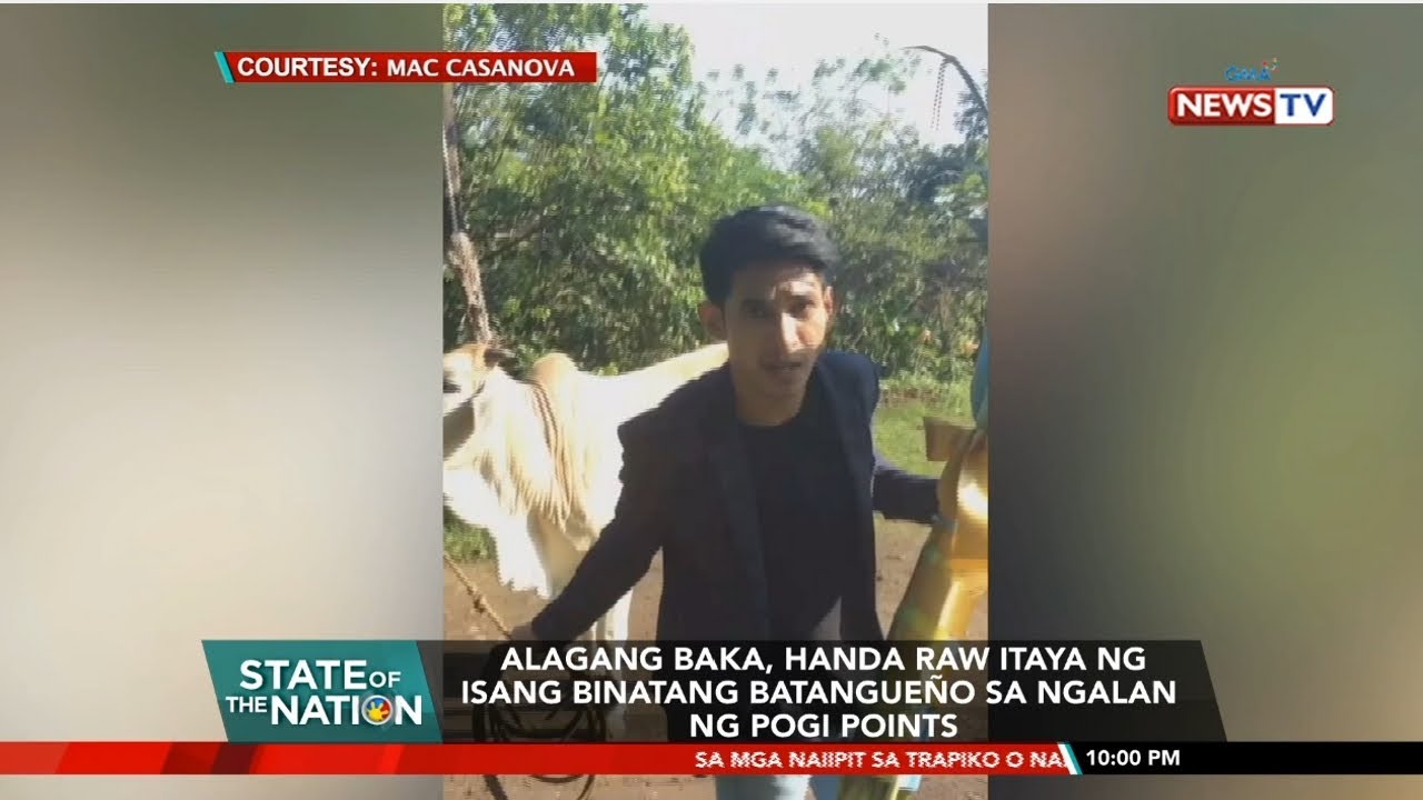 Alagang baka, handa raw itaya ng isang binatang Batangueño sa ngalan ng pogi points | SONA