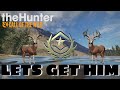 WHITETAIL GRTINDING LIVE! 506 KILLS! | The Hunter Call of the Wild