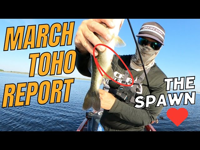 Lake Toho Bass Fishing - Kayaking Fishing Report