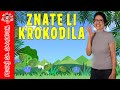 💖 Znate li krokodila 💖 Pevaj Sa Sandrom | Dečije pesme | Dečije priče