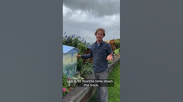 Getting started as a Flow Hive beekeeper?