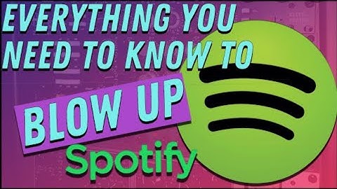 A Website Artist Can Come To And Get Major Artist Spotify Curators List