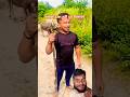 Deva Thapa Pahalwan ka dangal #devathapakustidangal #kushtitime #kushtidangal #comedy