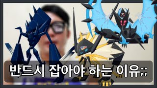 [필수시청] 네크로즈마, 황혼의갈기, 새벽의날개 가치 + 카운터 포켓몬 (24년 5월 기준)