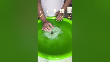 How Much Paper Does It Take to Make the Object Float?, #experiment, #asmr