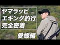 【アモラス】ヤマラッピのエギング釣行に完全密着in愛媛【新ロッドもたっぷりお見せします】