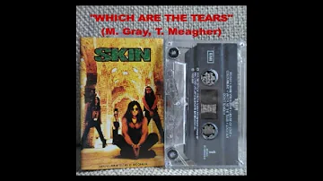 SKIN 1994 - Which Are The Tears (Mp3 cover) and Lyric