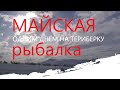 ТОНЕМ!!! Поехали на Теиберку в мае успеть на подлёдную рыбалку!