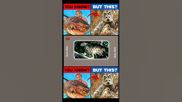 guess the animal | animal challenge | animal quiz game #shorts