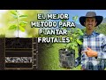 MÉTODO PARA PLANTAR ÁRBOLES FRUTALES - MÉTODO USADO POR  ELENA G. DE WHITE