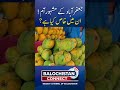 Jaffarabad Mangoes: What Makes Them So Special? | Balochistan Connect