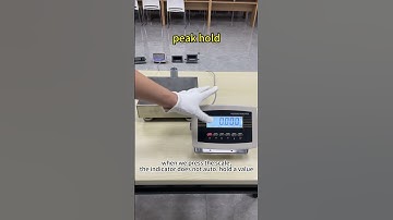 Locosc factory weighing indicator.