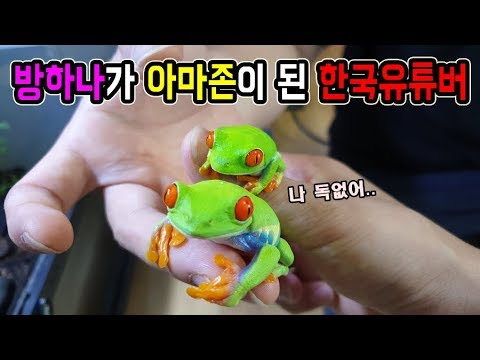 방 하나를 통채로 "아마존"건설 한국유투버ㅋㅋ신기함주의!! [정브르]