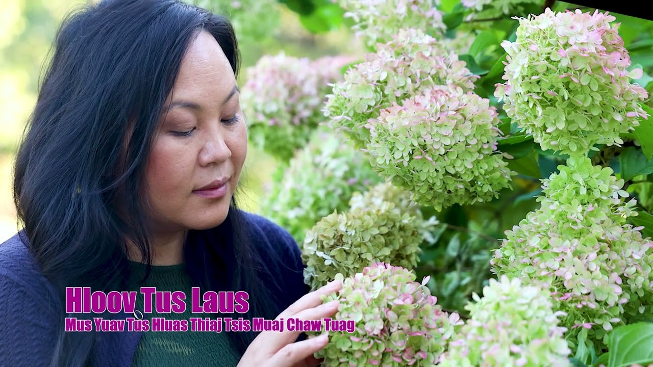 Замените старика молодым, чтобы не было места смерти. 11/5/2025