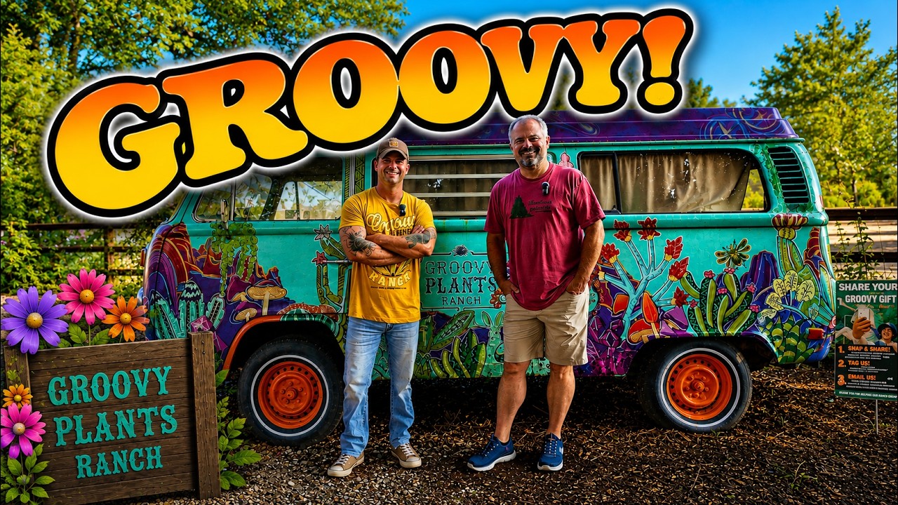 This Might Be the Grooviest Garden Center in America! | Groovy Plants Ranch