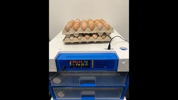 Blue Diamond Range - How to set up your machine - Delta Incubators