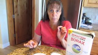 Get Rid of Ants with Borax!!