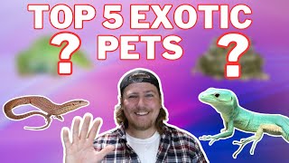 Top 5 Exotics Pets Fore Moderate Level Keepers