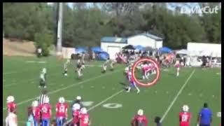 2024 season highlights Elijah Williams|C/O 2029 |6’ |185lbs| Ath |Folsom jr bulldogs| 4.6 laser 40