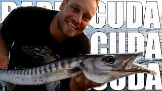 How-to Fish Barracudas - Spinning Lure Fishing