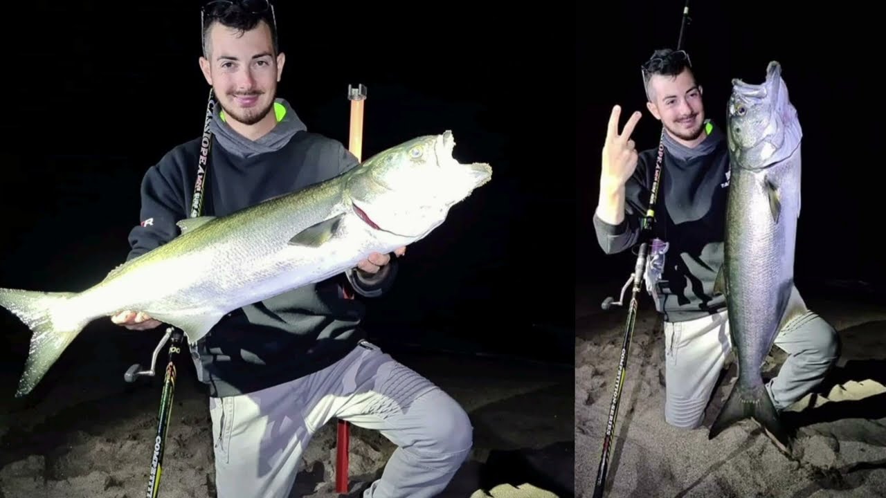 Leader Line Cavetto Acciaio . Fishing Marine
