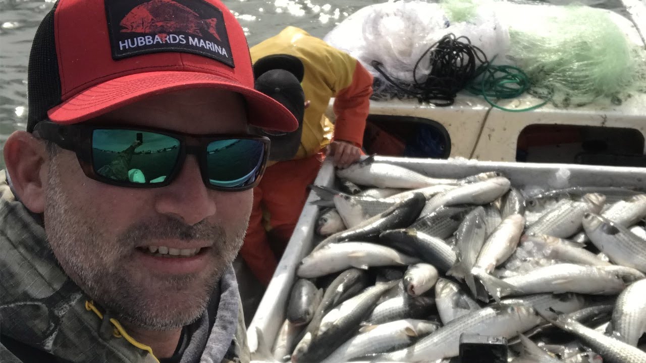 Ловля кефали в канун Рождества 2022 года