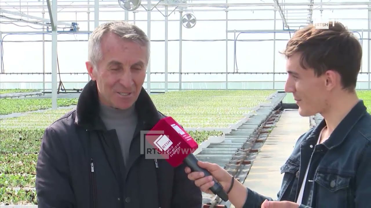 Karakteristikat e kultivimit të lakrës, këshilla nga agronomi | Si në familje