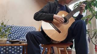 Gigue Bwv 997 J. S. Bach