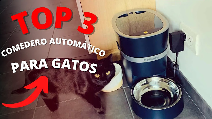 Los mejores comederos automáticos para gatos en 2023