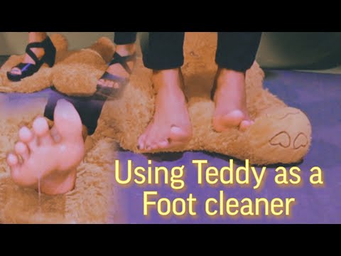 Using Teddy as a Foot cleaner 😝 || Mistress Hrittika || F24FEET