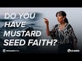 Do you have mustard seed faith  healing now with audrey mack  may 1 2024