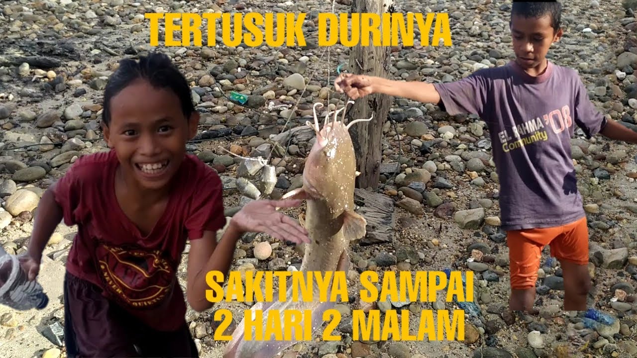 Jangan sampai tertusuk duri ikan ini, Mancing Ikan di pinggir pantai