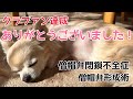 クラウドファンディング達成しました！ありがとうございます