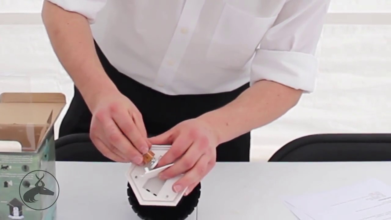 Tv Host Bill Confidence Live Presents the All New OxGord Dog Ultrasonic Bark Controller