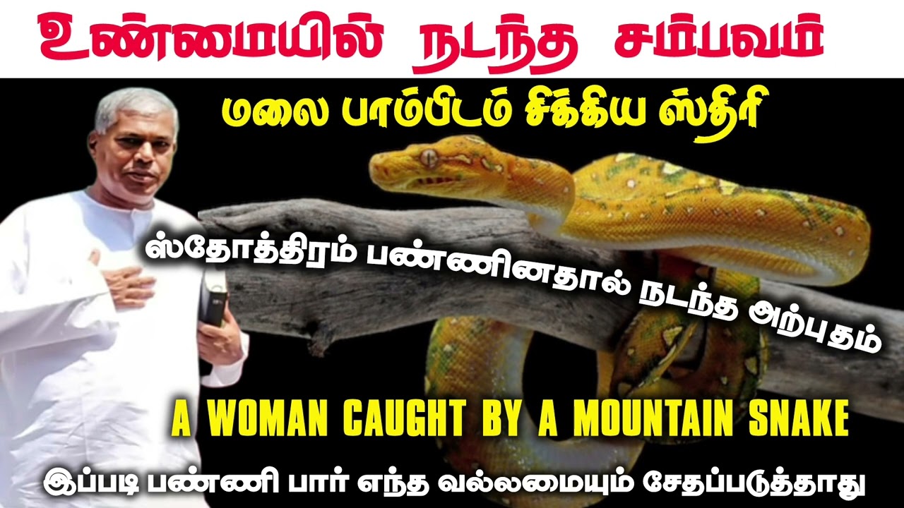 மலை பாம்பிடம் சிக்கிய ஸ்திரி | உண்மை சம்பவம் TPM messages | Pas.durai 