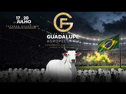 LOTE 68