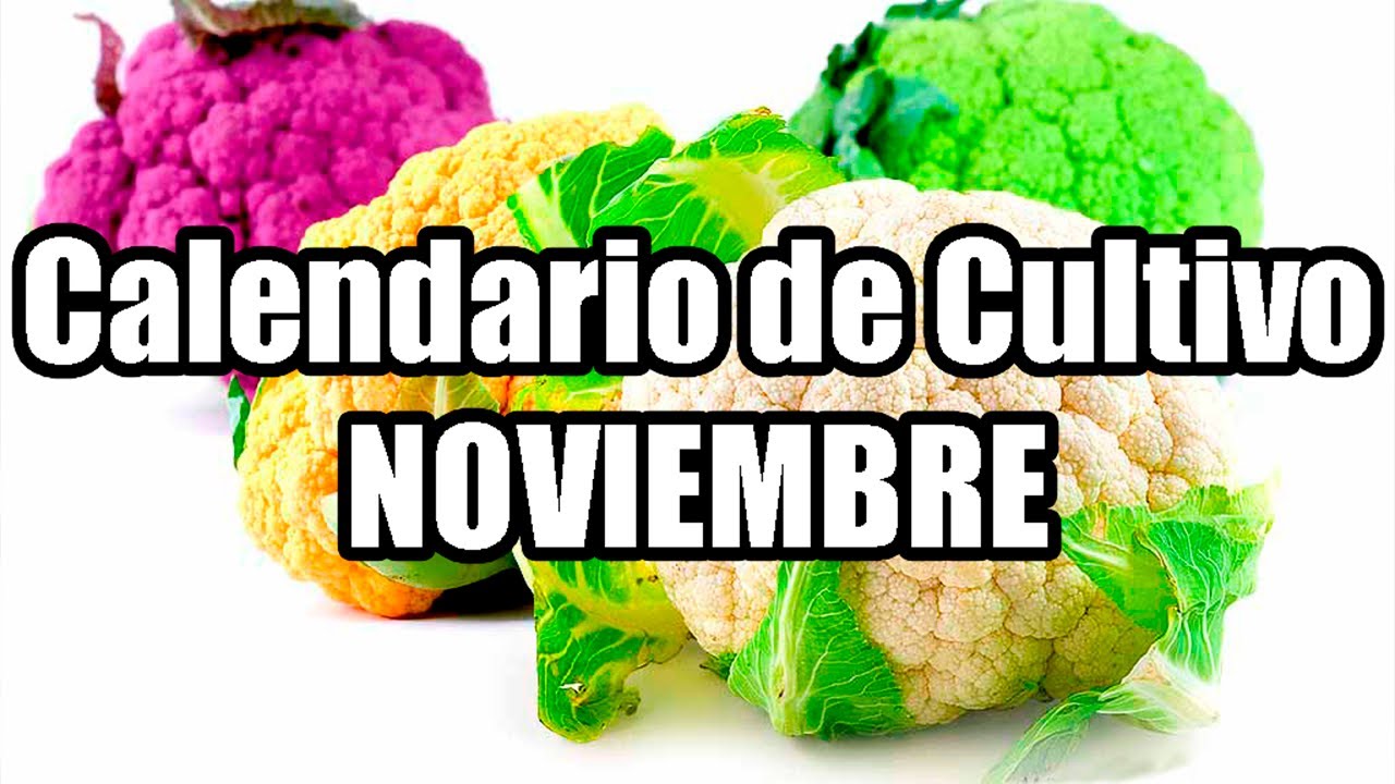 Calendario agricola noviembre 2023 3