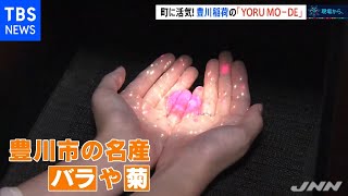 町に活気！豊川稲荷の「ＹＯＲＵ ＭＯ－ＤＥ」【現場から、】