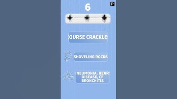 8 types of sounds your Lungs make #volumeup