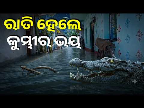 ବନ୍ୟାରେ ବେହାଲ ରାଜନଗର, ନଗଡ଼ ଗାଁରେ ଦୁର୍ଦ୍ଦଶାର ଚିତ୍ର  | Knews Odisha