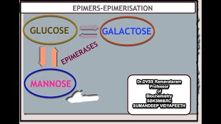 epimerism and epimers Dr DVSSR