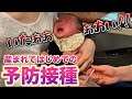 【初の予防接種】はじめて痛みを知る生後2ヶ月の赤ちゃん、大号泣・・・