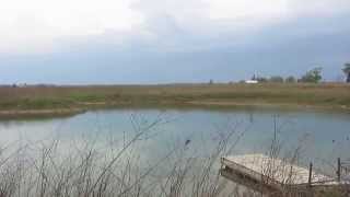 The Luna Project - Sounds From The Wetlands